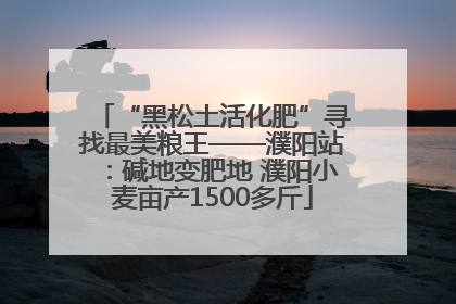 “黑松土活化肥”寻找最美粮王——濮阳站：碱地变肥地 濮阳小麦亩产1500多斤