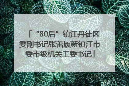 “80后”镇江丹徒区委副书记张蕾履新镇江市委市级机关工委书记