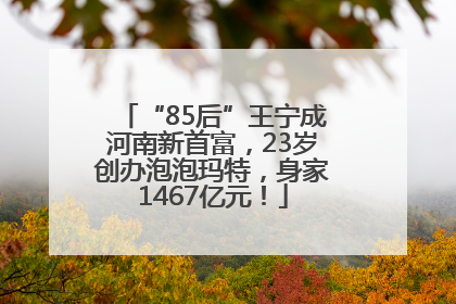 “85后”王宁成河南新首富，23岁创办泡泡玛特，身家1467亿元！
