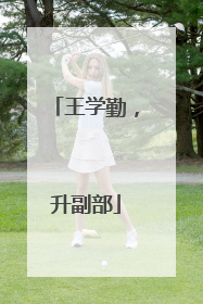 王学勤，升副部