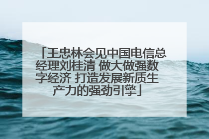 王忠林会见中国电信总经理刘桂清 做大做强数字经济 打造发展新质生产力的强劲引擎