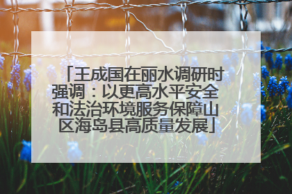王成国在丽水调研时强调：以更高水平安全和法治环境服务保障山区海岛县高质量发展