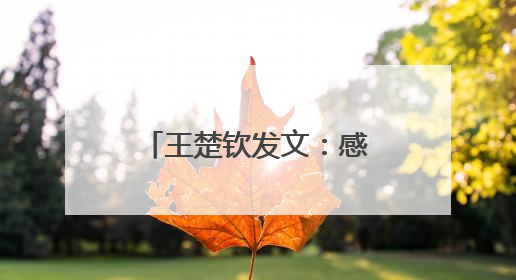 王楚钦发文：感谢莎莎，谢谢不管多痛苦也想证明一切的自己