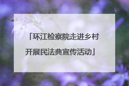 环江检察院走进乡村开展民法典宣传活动
