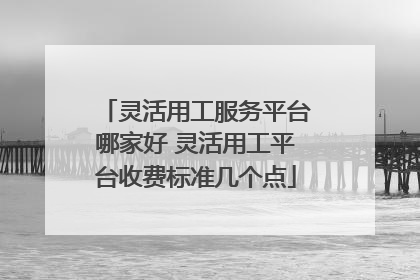 灵活用工服务平台哪家好 灵活用工平台收费标准几个点