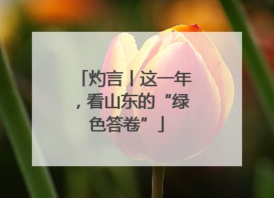灼言丨这一年，看山东的“绿色答卷”