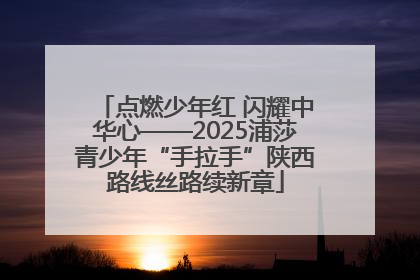 点燃少年红 闪耀中华心——2025浦莎青少年“手拉手”陕西路线丝路续新章