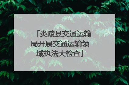 炎陵县交通运输局开展交通运输领域执法大检查