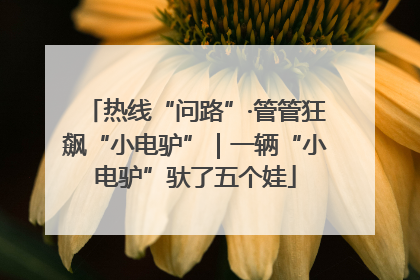 热线“问路”·管管狂飙“小电驴”｜一辆“小电驴”驮了五个娃