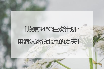 燕京34°C狂欢计划：用泡沫冰镇北京的夏天