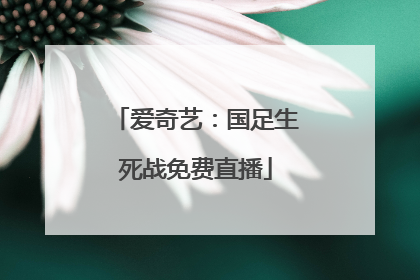 爱奇艺：国足生死战免费直播