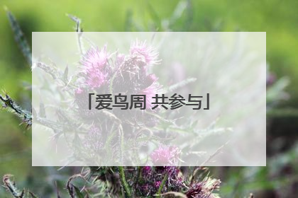 爱鸟周 共参与