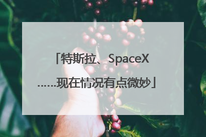 特斯拉、SpaceX……现在情况有点微妙