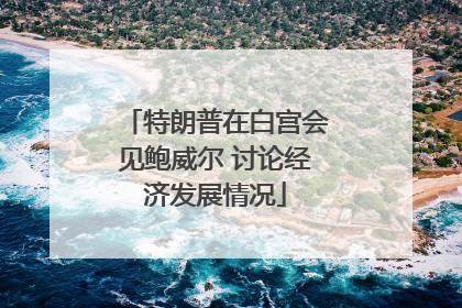 特朗普在白宫会见鲍威尔 讨论经济发展情况