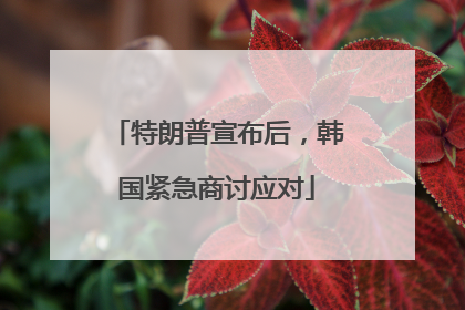 特朗普宣布后,韩国紧急商讨应对