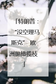 特朗普：“没空理马斯克” 欧洲抛橄榄枝
