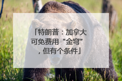 特朗普：加拿大可免费用“金穹”，但有个条件