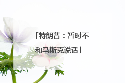 特朗普：暂时不和马斯克说话