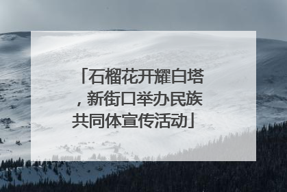 石榴花开耀白塔，新街口举办民族共同体宣传活动