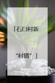 石臼村新“村播”