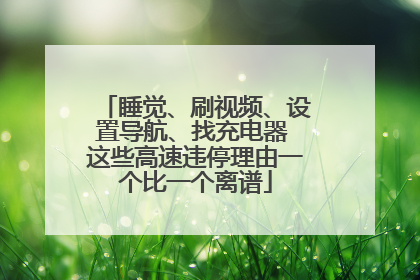 睡觉、刷视频、设置导航、找充电器 这些高速违停理由一个比一个离谱