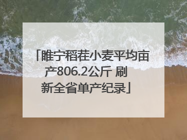 睢宁稻茬小麦平均亩产806.2公斤 刷新全省单产纪录