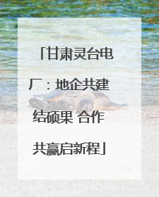 甘肃灵台电厂：地企共建结硕果 合作共赢启新程