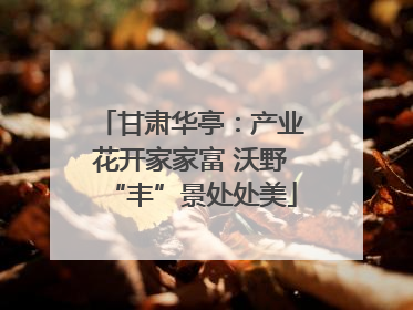 甘肃华亭：产业花开家家富 沃野“丰”景处处美