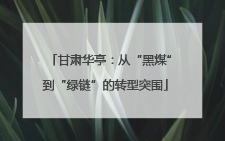 甘肃华亭：从“黑煤”到“绿链”的转型突围