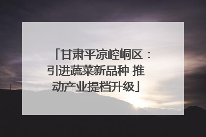 甘肃平凉崆峒区：引进蔬菜新品种 推动产业提档升级