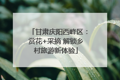 甘肃庆阳西峰区：赏花+采摘 解锁乡村旅游新体验