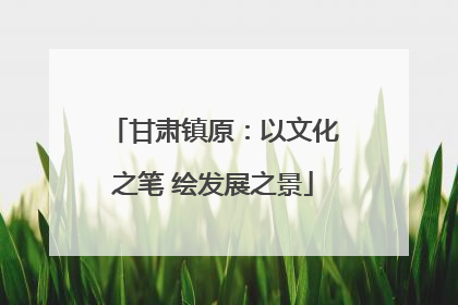 甘肃镇原：以文化之笔 绘发展之景