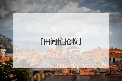 田间忙抢收