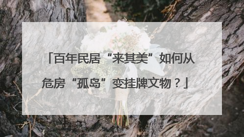 百年民居“来其美”如何从危房“孤岛”变挂牌文物？