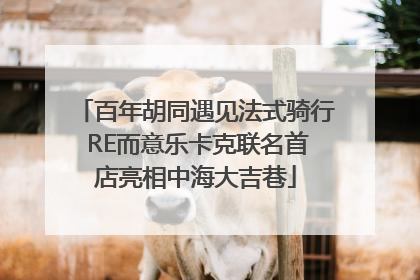 百年胡同遇见法式骑行 RE而意乐卡克联名首店亮相中海大吉巷