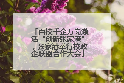 百校千企万岗激活“创新张家港”，张家港举行校政企联盟合作大会