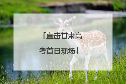 直击甘肃高考首日现场