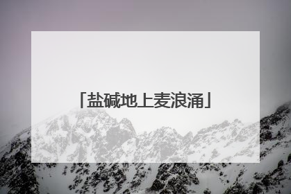 盐碱地上麦浪涌