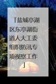 盐城亭湖区东亭湖街道人大工委组织防汛专项视察工作