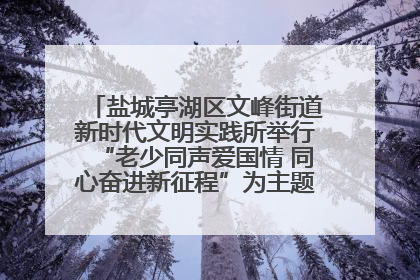 盐城亭湖区文峰街道新时代文明实践所举行“老少同声爱国情 同心奋进新征程”为主题的红色文化活动