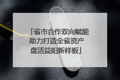 省市合作双向赋能 助力打造全省资产盘活益阳新样板