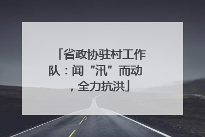 省政协驻村工作队：闻“汛”而动，全力抗洪