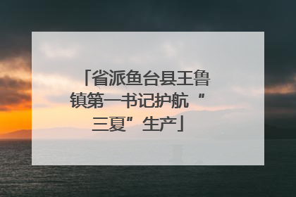 省派鱼台县王鲁镇第一书记护航“三夏”生产