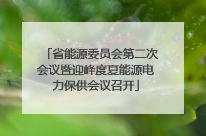 省能源委员会第二次会议暨迎峰度夏能源电力保供会议召开