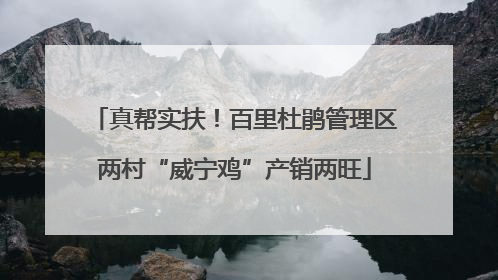 真帮实扶！百里杜鹃管理区两村“威宁鸡”产销两旺