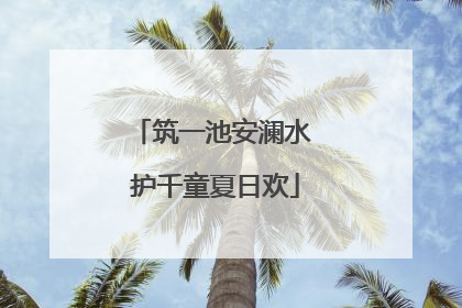 筑一池安澜水 护千童夏日欢