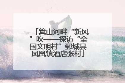 箕山河畔“新风”吹——探访“全国文明村”鄄城县凤凰镇酒店张村