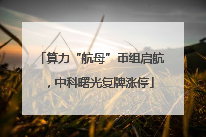 算力“航母”重组启航，中科曙光复牌涨停