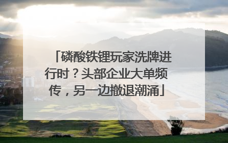 磷酸铁锂玩家洗牌进行时？头部企业大单频传，另一边撤退潮涌