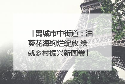 禹城市中街道：油葵花海绚烂绽放 绘就乡村振兴新画卷